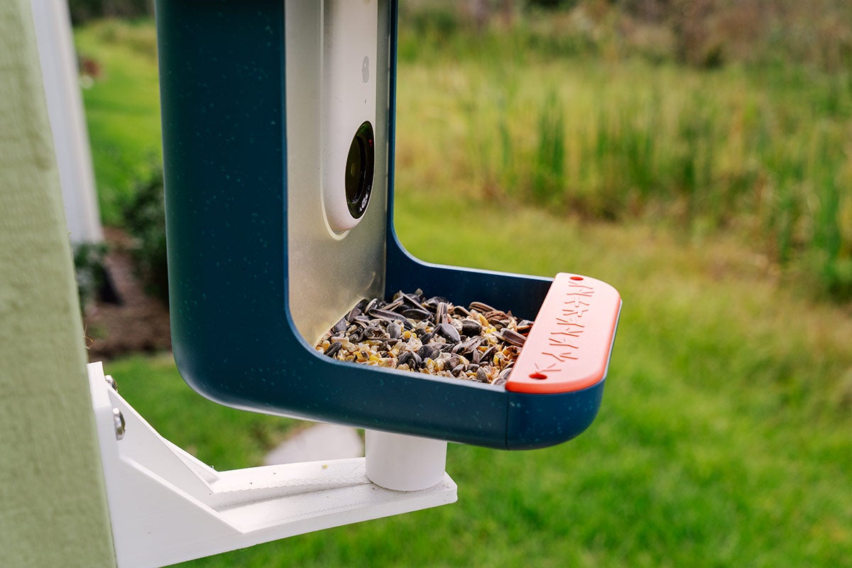 A Bird Buddy bird feeder, filled with birdseed, is mounted on a post with a yard in the background.