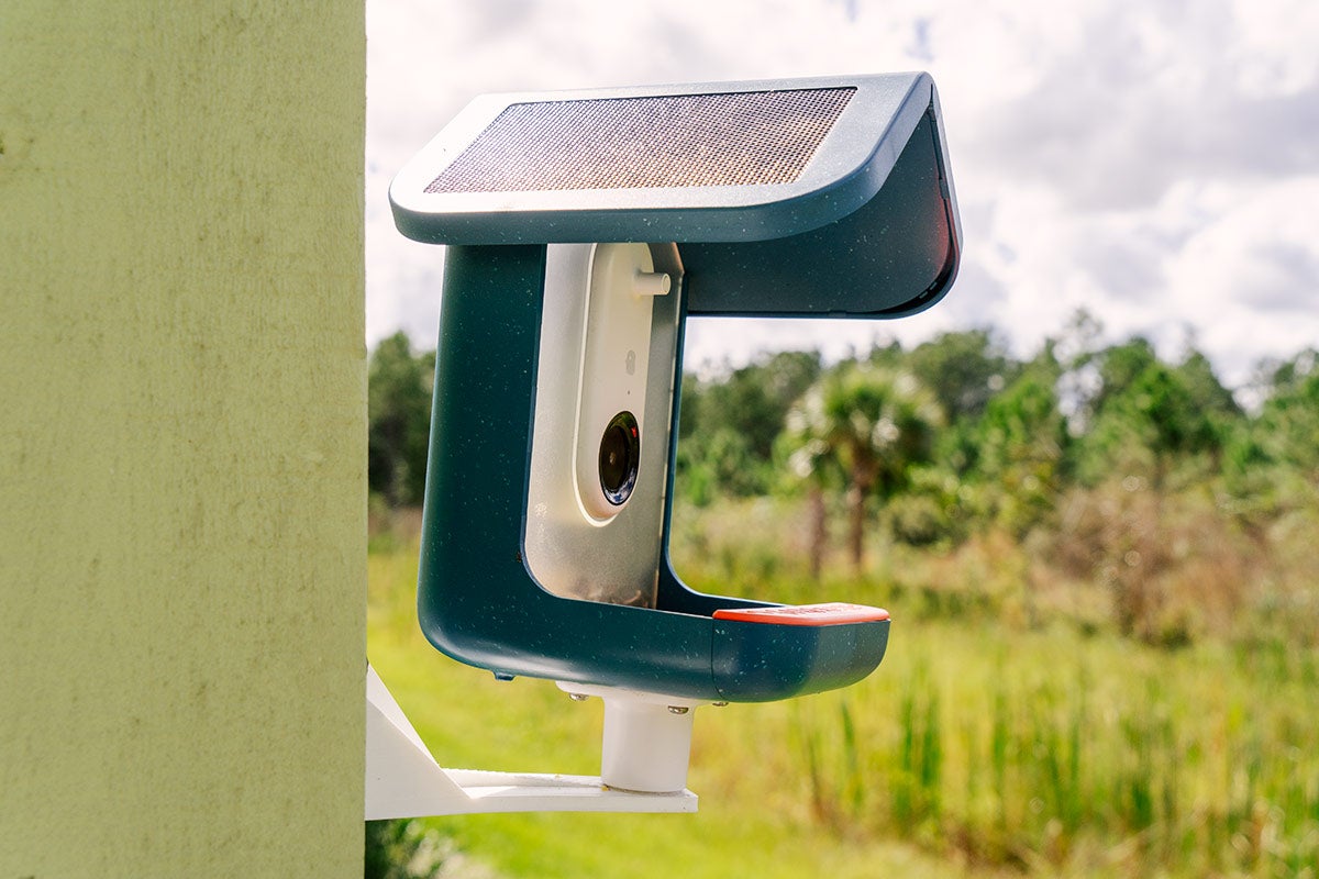 A Bird Buddy bird feeder camera is mounted on a post with a green forest in the background.