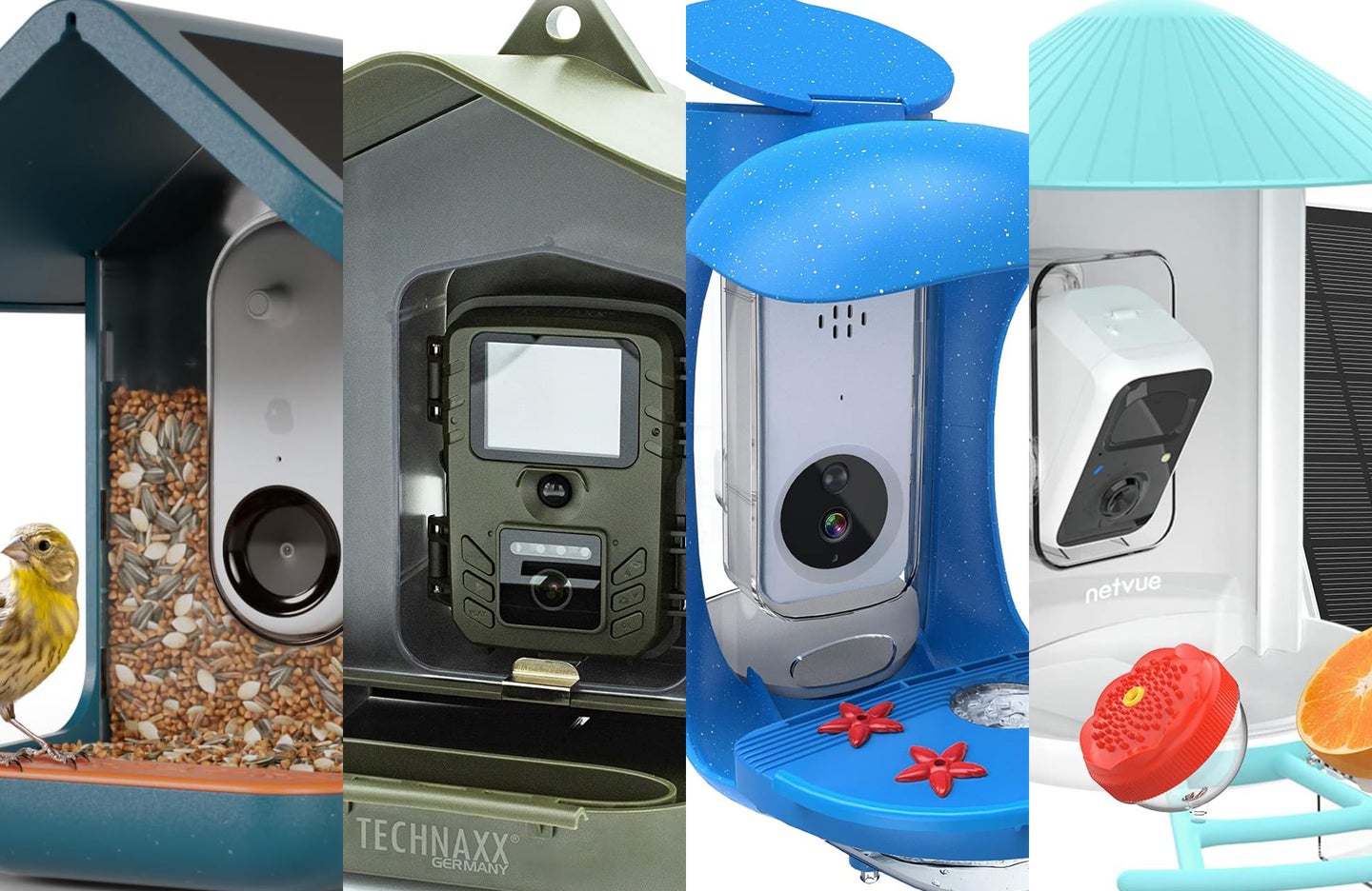 four of the best bird feeder cameras sliced together against a white background