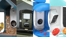 The best bird feeder cameras in 2023